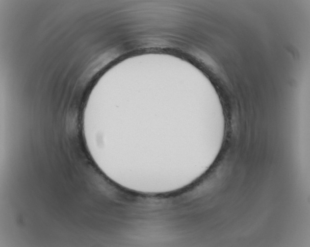 X0000113600873200910161903