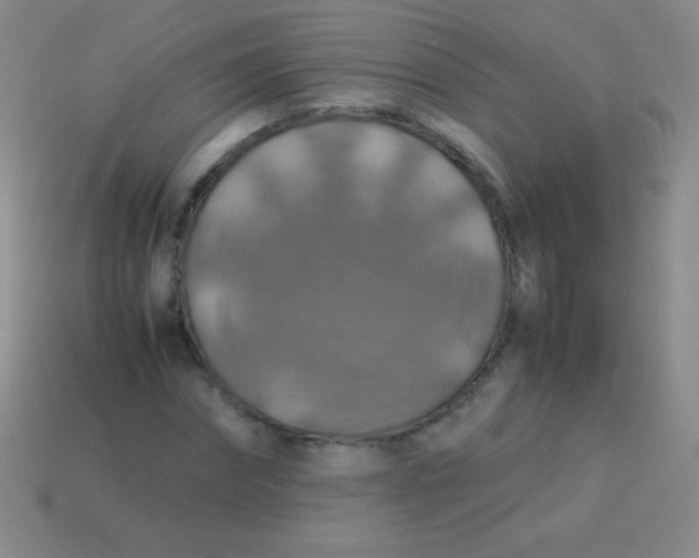 X0000113600874200910161903