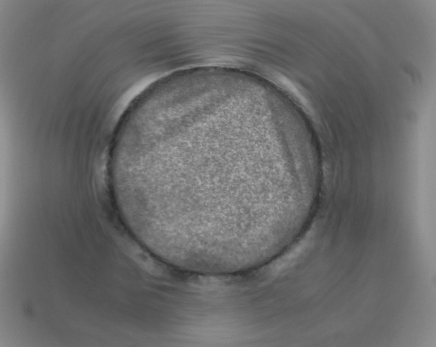 X0000113600875200910161903