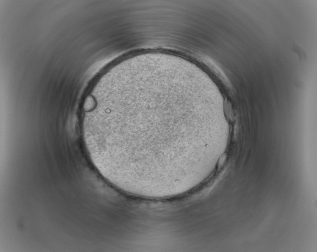 X0000113600876200910161903