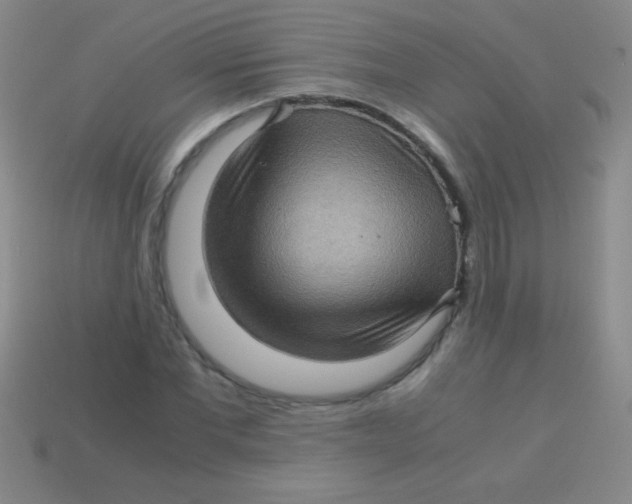 X0000113600877200910161903