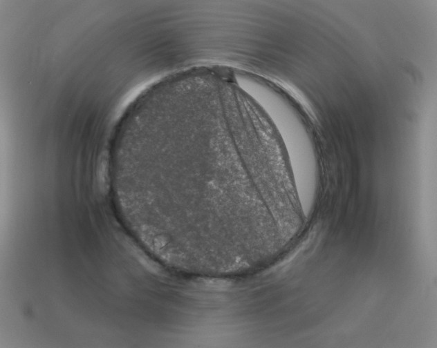 X0000113600878200910161903