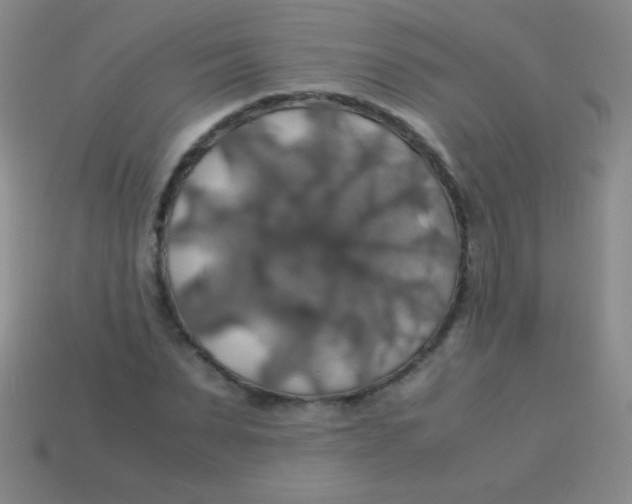 X0000113600879200910161903