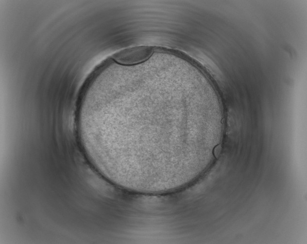 X0000113600880200910161903