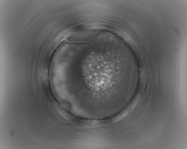 X0000113600881200910161903