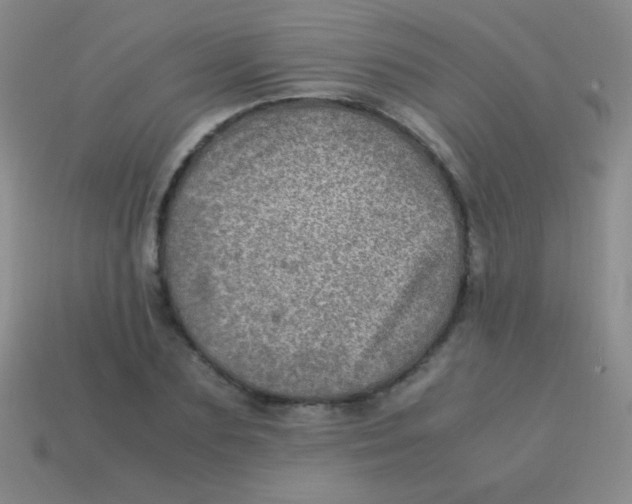 X0000113600883200910161903