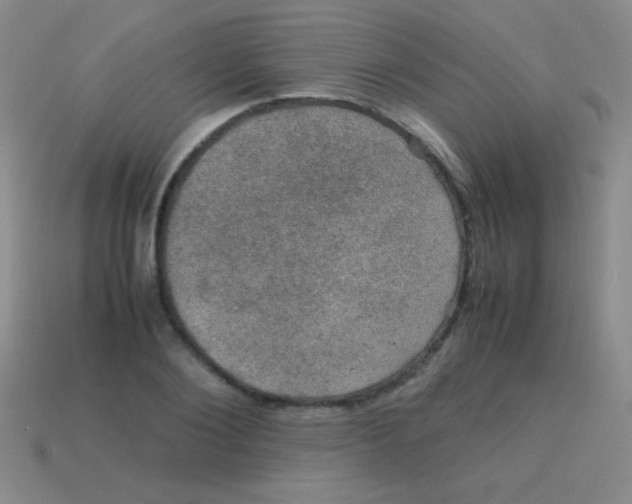 X0000113600884200910161903