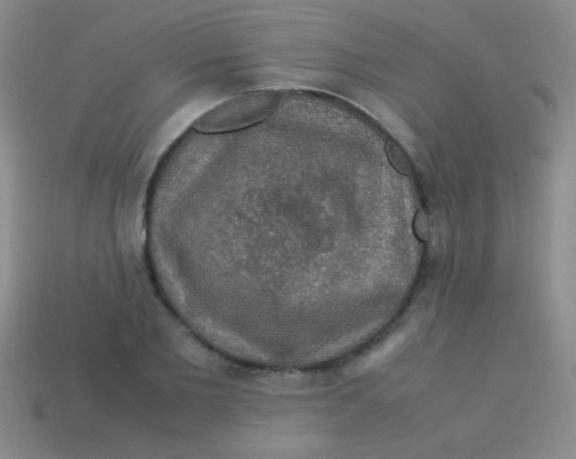 X0000113600885200910161903