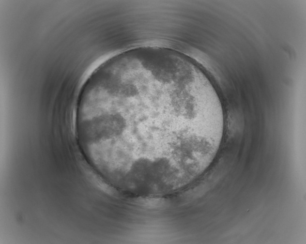 X0000113600886200910161903