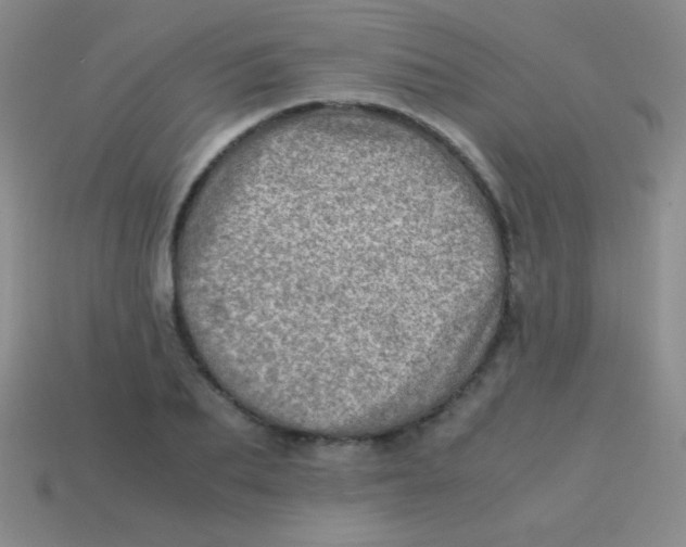 X0000113600887200910161903