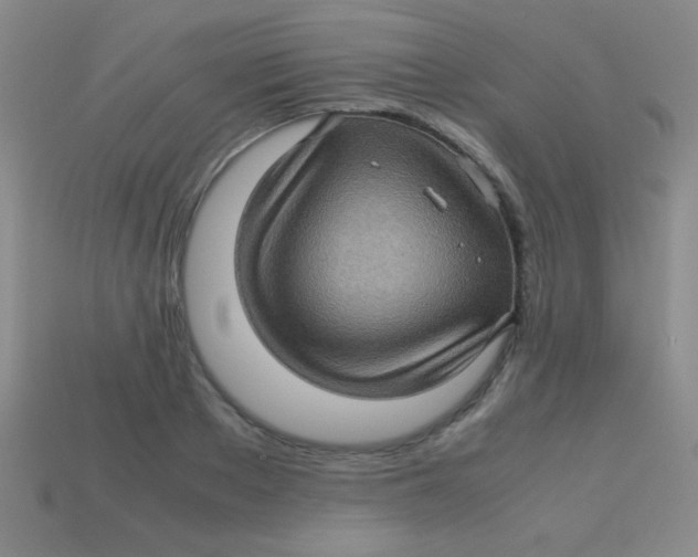 X0000113600889200910161902