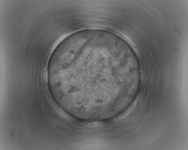 X0000113600891200910161902