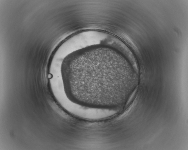 X0000113600892200910161902