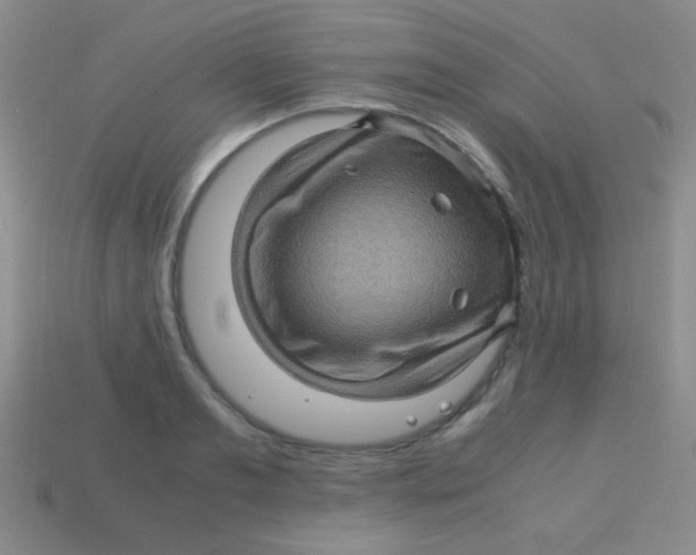 X0000113600893200910161902