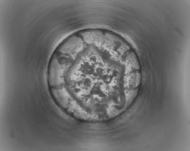 X0000113600895200910161902