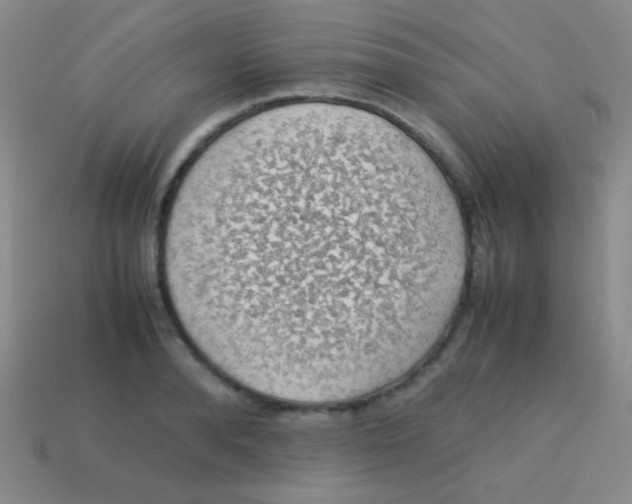 X0000113600896200910161902