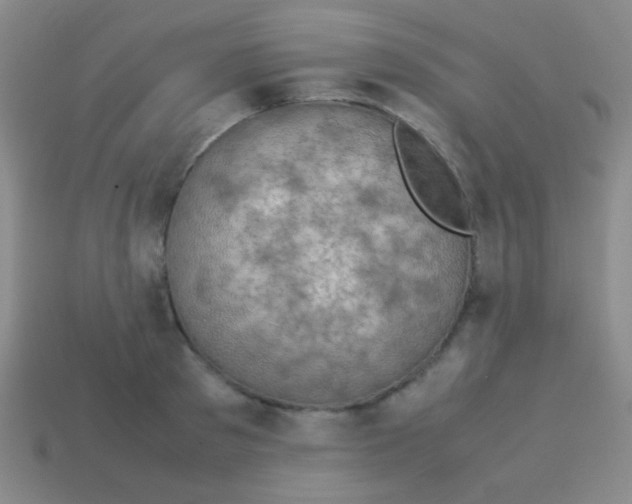 X0000113600897200910161902