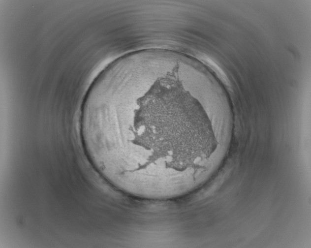 X0000113600899200910161902