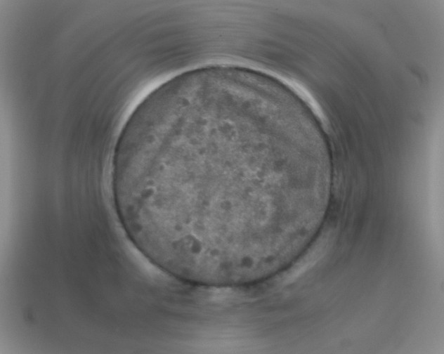 X0000113600903200910161902