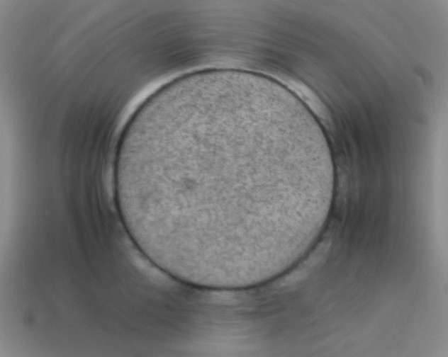 X0000113600904200910161902