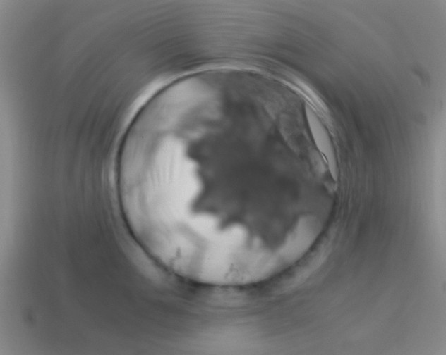 X0000113600907200910161902