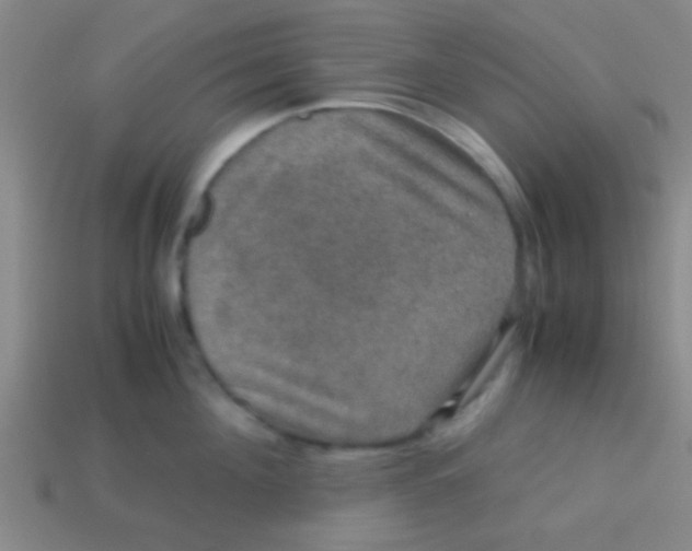 X0000113600908200910161902