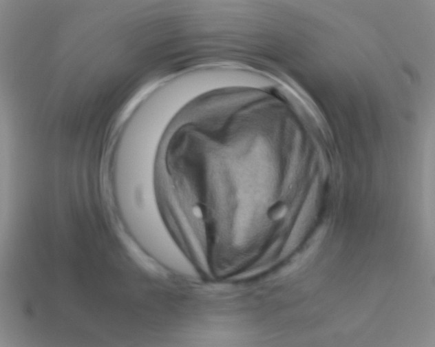 X0000113600909200910161902