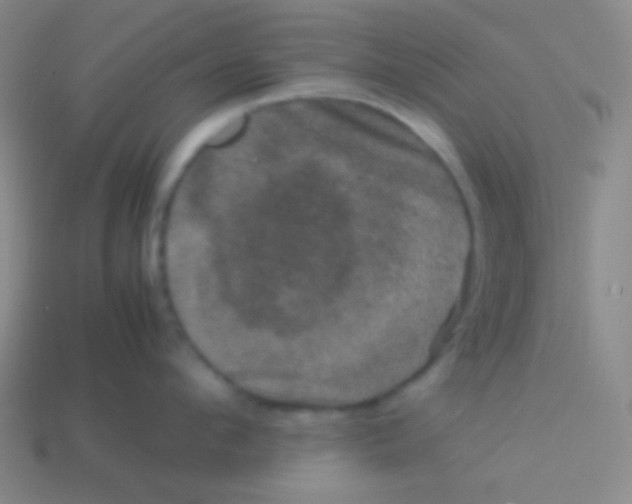 X0000113600912200910161902