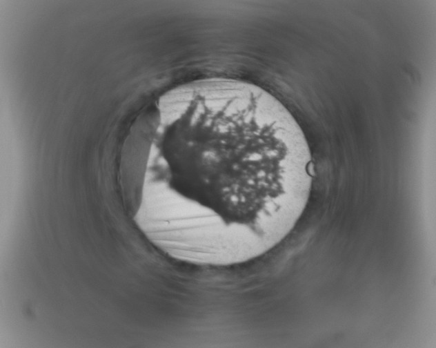 X0000113600913200910161901