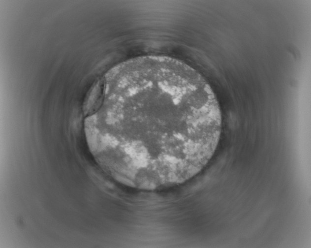 X0000113600914200910161901