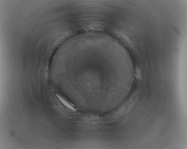 X0000113600915200910161901