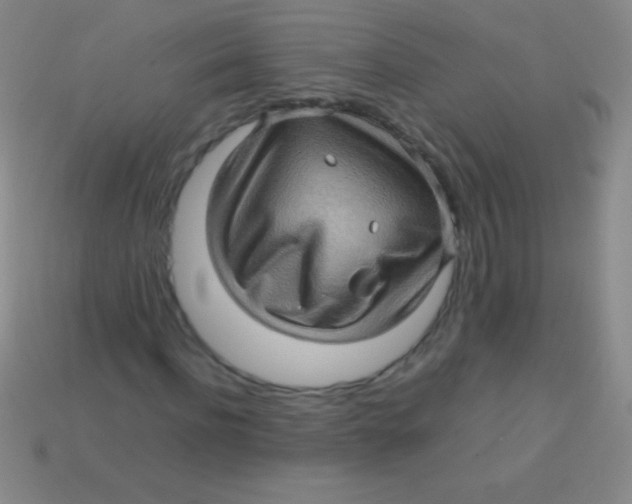 X0000113600916200910161901