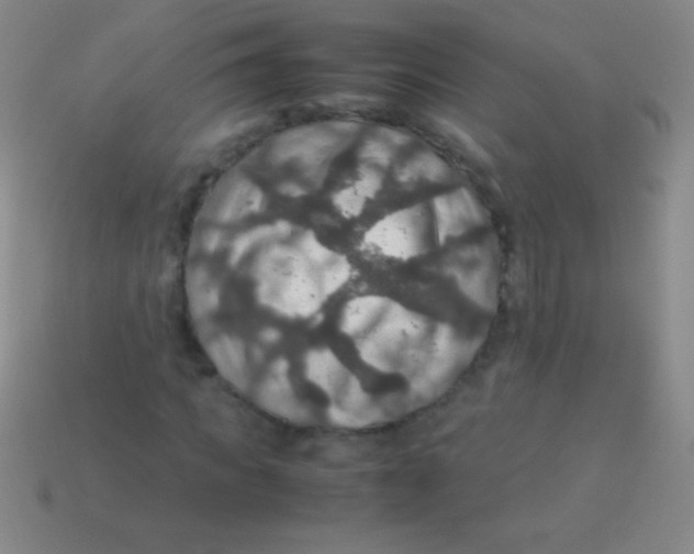 X0000113600917200910161901