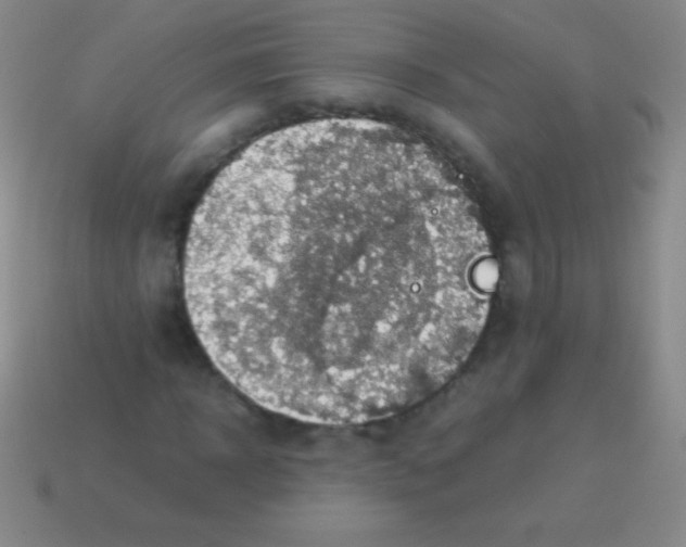 X0000113600918200910161901