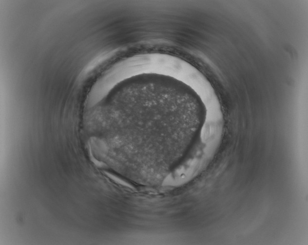 X0000113600919200910161902