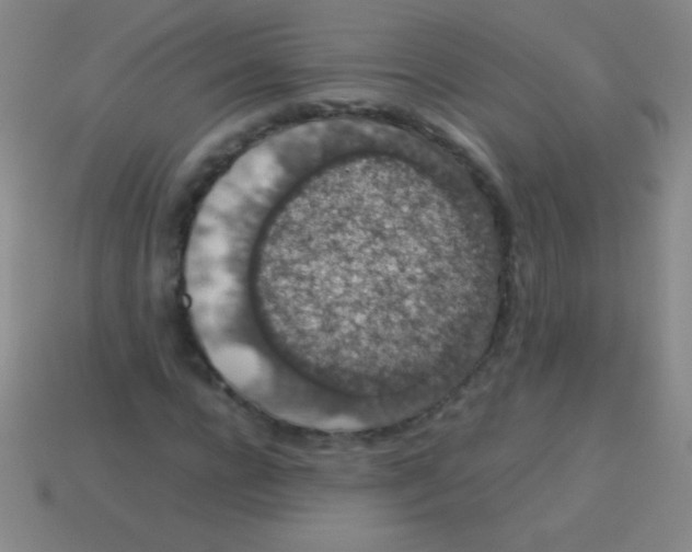 X0000113600920200910161902