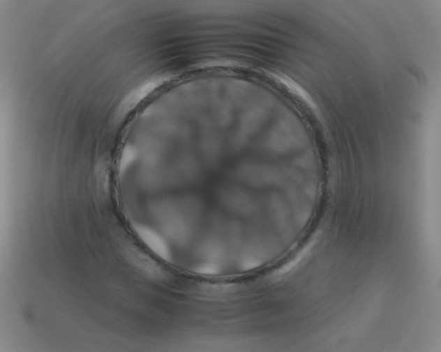 X0000113600921200910161902