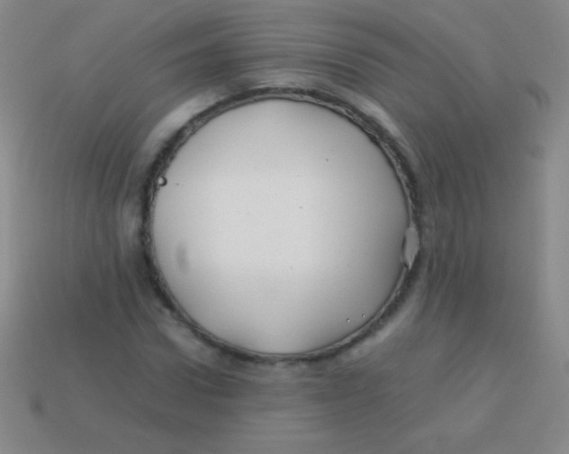 X0000113600922200910161902