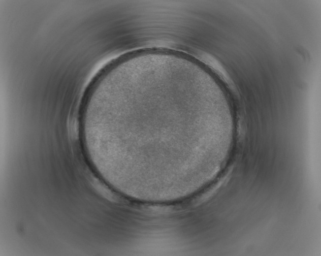 X0000113600924200910161902