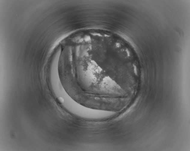 X0000113600925200910161902