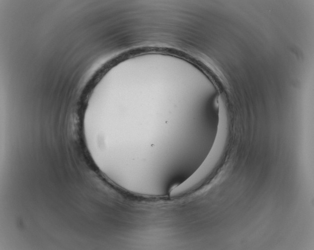 X0000113600926200910161902