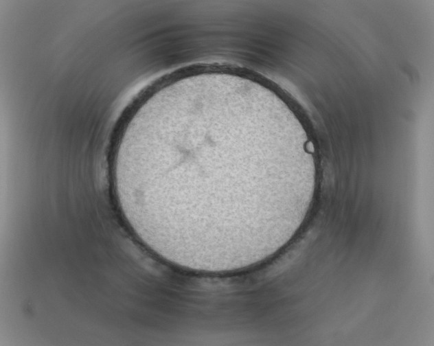 X0000113600927200910161902