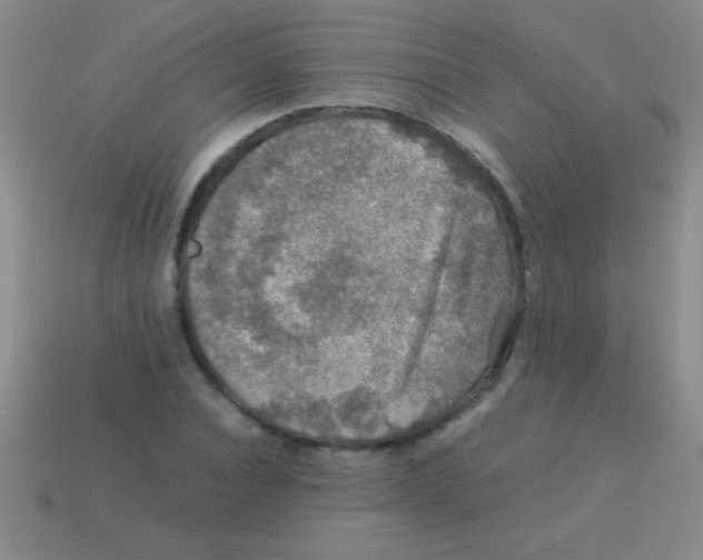 X0000113600928200910161902