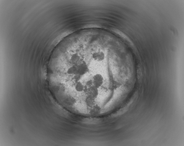 X0000113600929200910161902