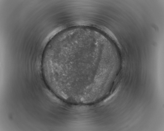 X0000113600930200910161902