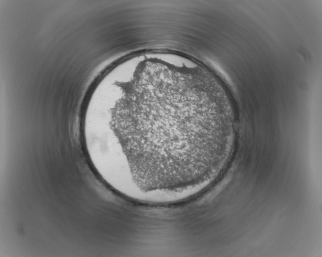 X0000113600932200910161902