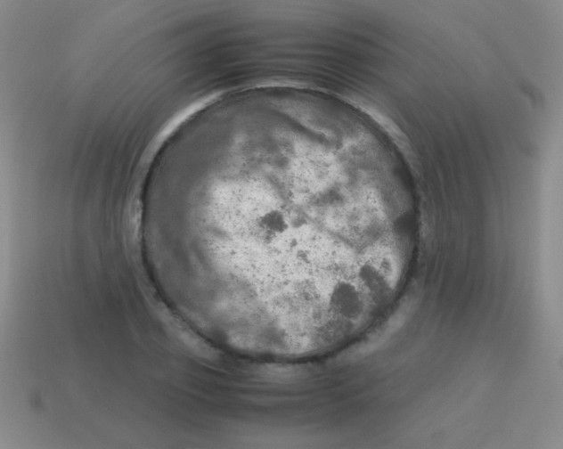 X0000113600933200910161902