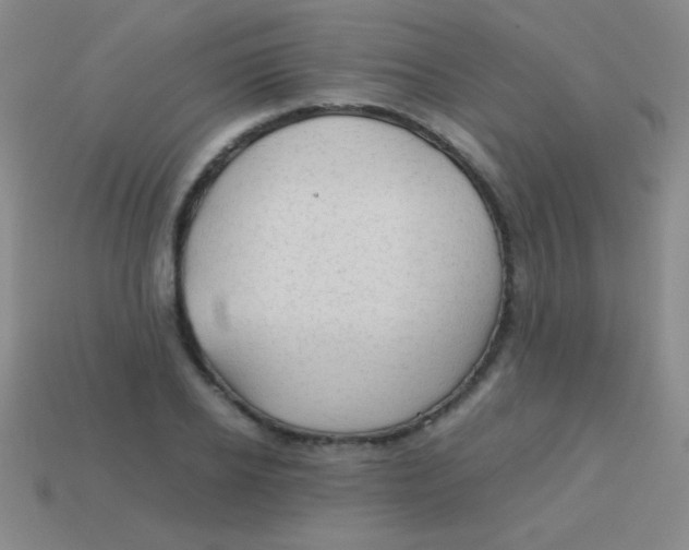 X0000113600934200910161902