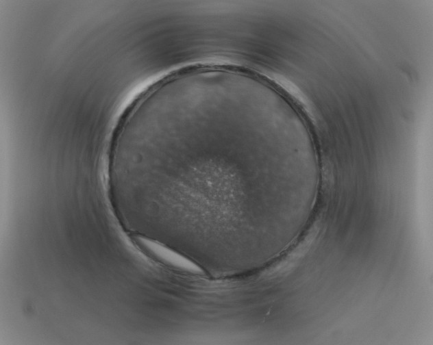 X0000113600935200910161902