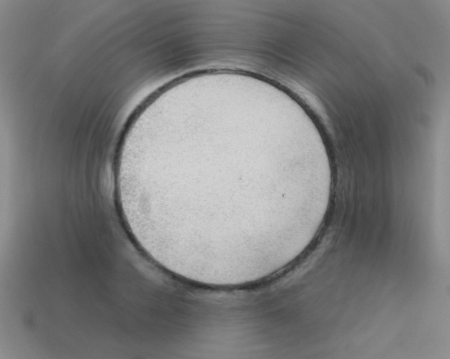 X0000113600936200910161902